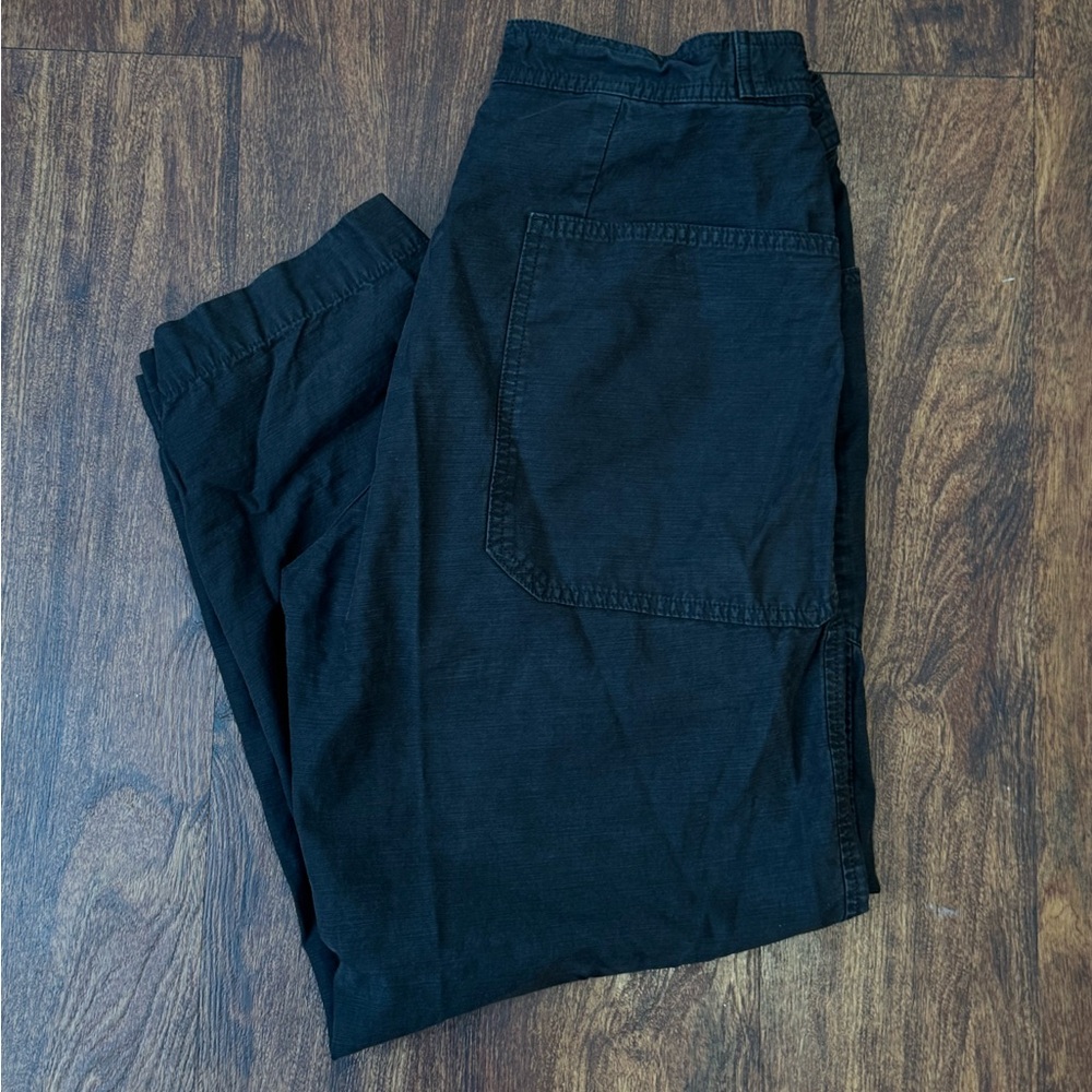 Everlane carpenter Pant